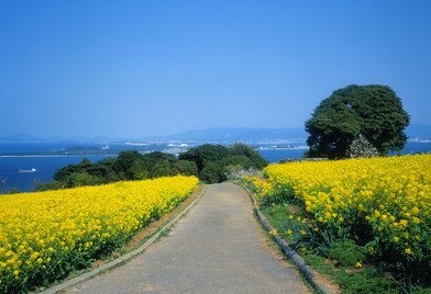 2019年农历二月初二出生的男孩五行缺木起什么名字好听，该用什么字