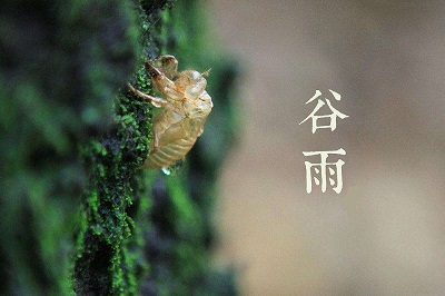 鼠年谷雨节气出生的宝宝起名带什么字好？