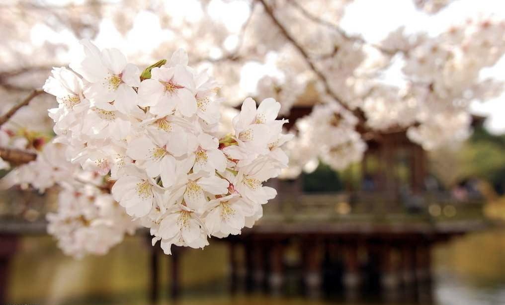 2019年4月29号出生的女孩起什么名字比较好，宜用什么字