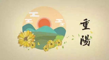 2019年重阳节出生八字喜木猪宝宝高雅有智慧名字精选！