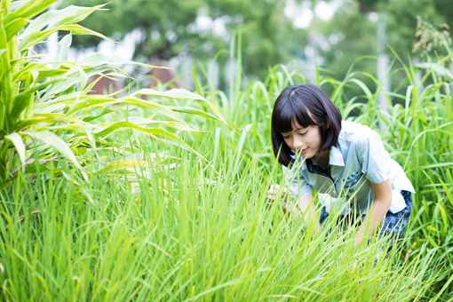 伍姓女孩子取名2020 伍姓女孩起名大全