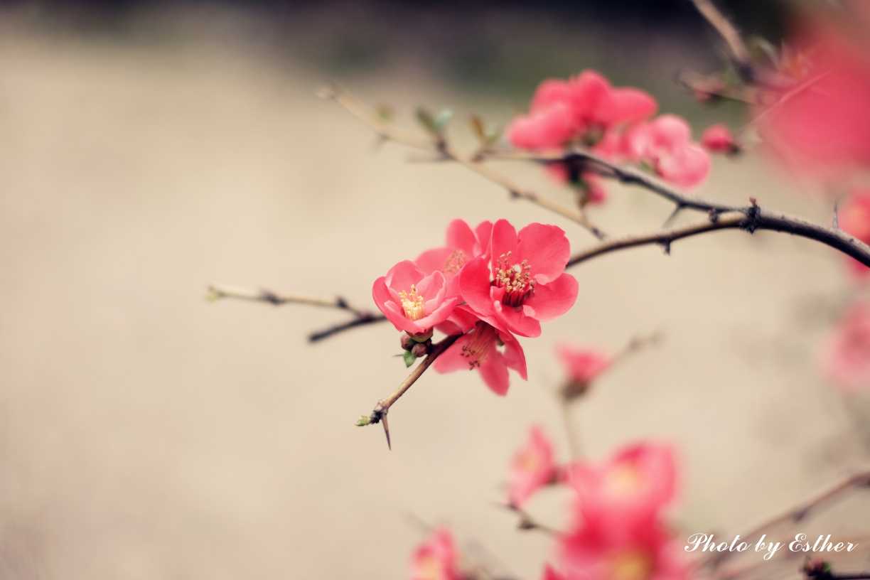 青年节出生的女宝宝格好吗，起什么名字好听