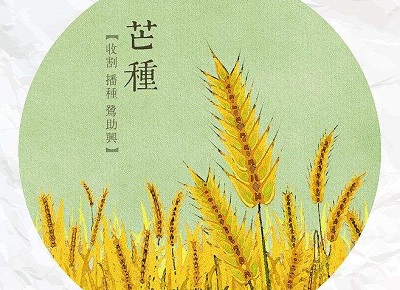 2020庚子年芒种出生的宝宝名字怎么取好？