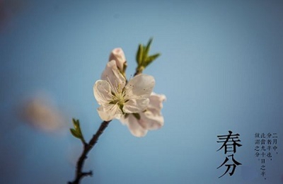 020生肖鼠年春分出生女宝宝缺火的名字大全"