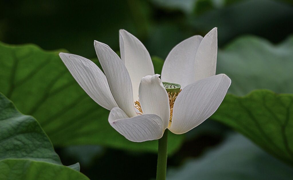 公历2019年5月31号卯时出生的女宝宝怎么起名，宜用什么字