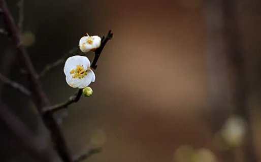 最新的姓陈的男孩名字，带解释 高分有个性