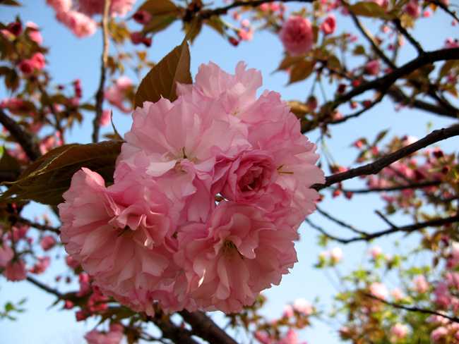 5月17号早上6点出生的女孩如何起名，用什么字比较好