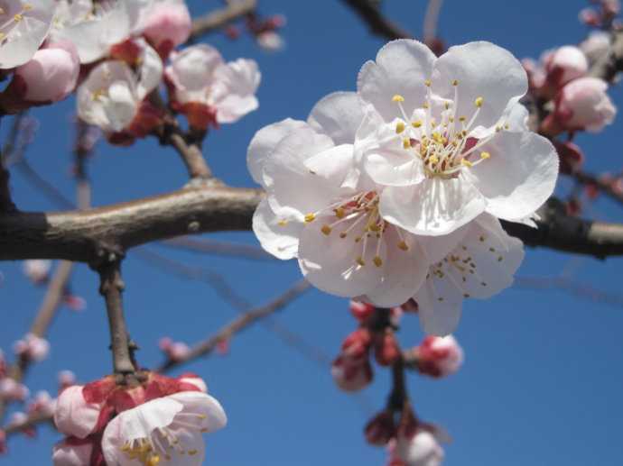 5月3号下午5点出生的女孩如何起名，宜用字有哪些