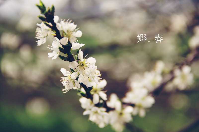 5月18号傍晚6点出生的女孩如何起名，好字推荐