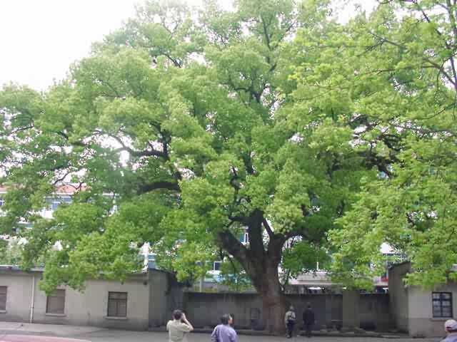 5月4号下午4点出生的女孩如何起名，宜用什么字