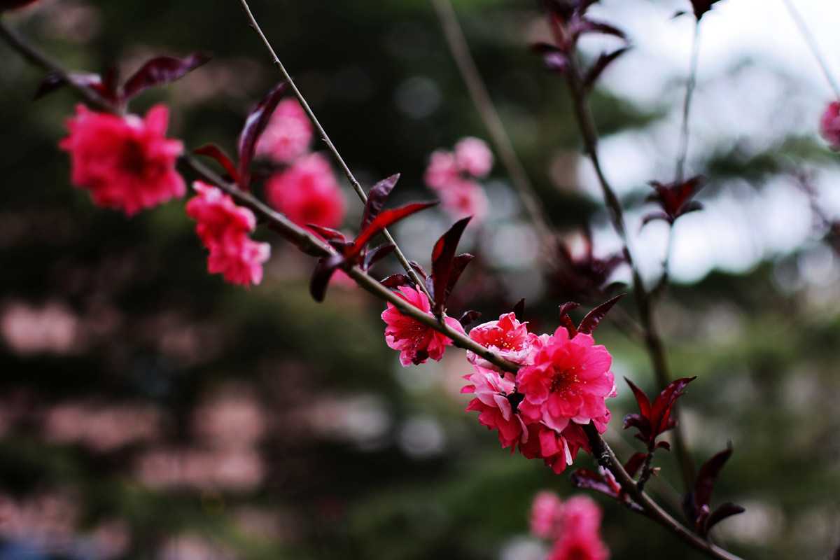 建军节出生的女宝宝小名大全