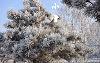 2019小雪出生的女孩起名带雪字好不好？