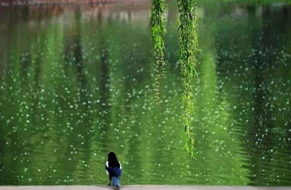 属猪2019年谷雨节气出生的男孩五行缺金怎么起名？