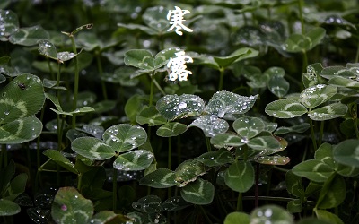 020年寒露节气出生八字五行缺土女孩起名参考"