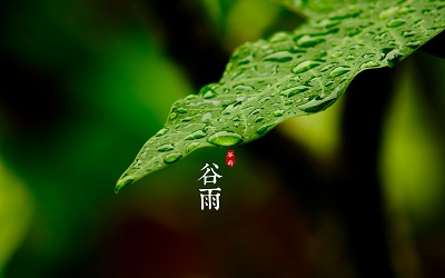 2019猪年谷雨节气出生的宝宝起名带什么字好？