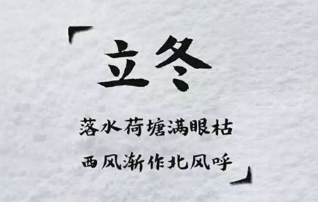 2019年立冬出生带茹字八字喜木女孩名字,缺木起名女孩