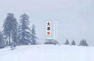 020鼠年农历十月二十四大雪后一天出生的女孩如何起名？"