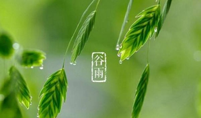 属猪2019年谷雨节气出生的男孩五行缺金怎么起名？