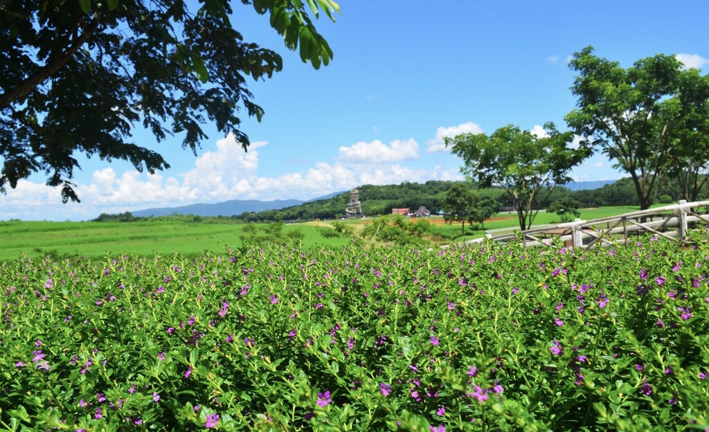 2019年4月15号出生的女宝宝五行缺土怎么起名字，宜用什么字