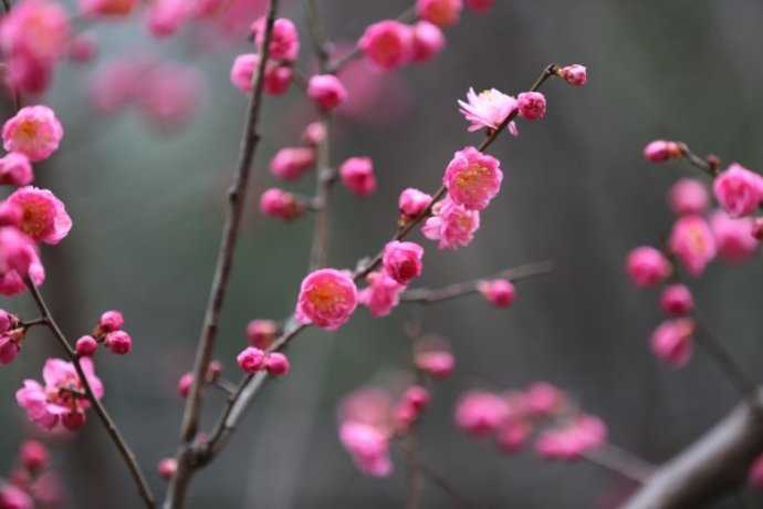 父亲节出生的女宝宝起名带什么字好，用哪些字比较合适