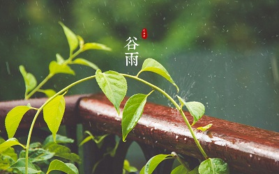 2019猪年谷雨节气出生的宝宝取名乳名