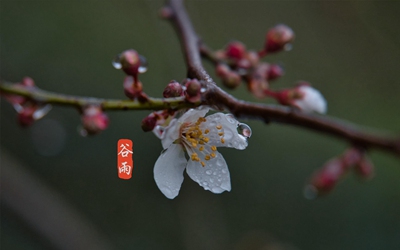 020庚子鼠年谷雨出生缺火男孩名字大全霸气好名字"