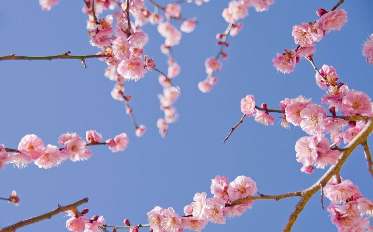 2019猪年教师节出生女宝宝五行缺水要如何起名字