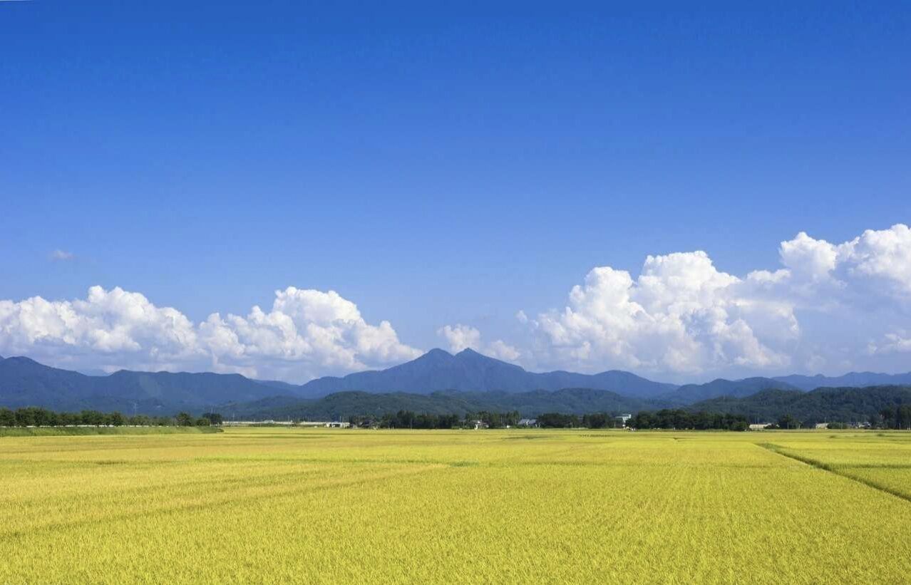 5月10号上午11点出生的女孩如何起名，起名方法