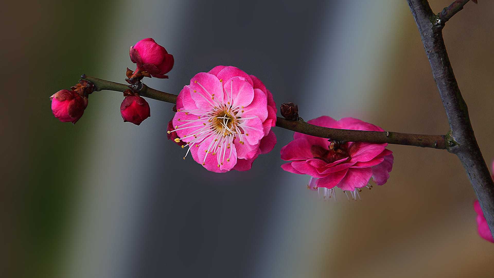 5月12号晚上12点出生的女孩如何起名，常用字