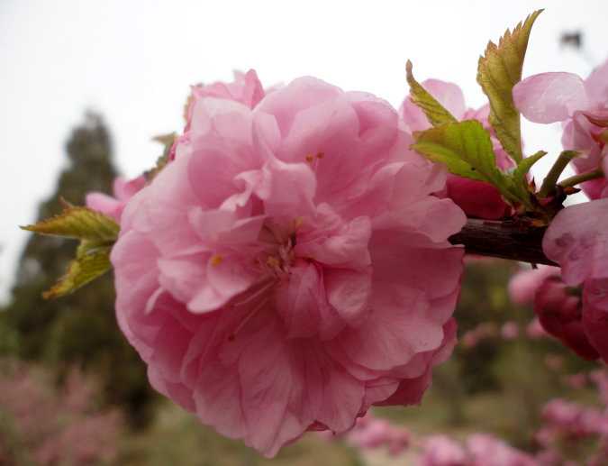 2019年建军节是几月几号，青年节出生的女宝宝起什么名字好