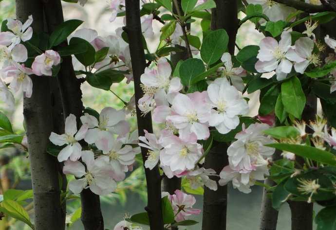 5月3号晚上8点出生的女孩如何起名，宜用什么字