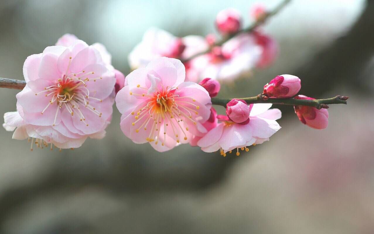 2019猪年教师节出生的女宝宝五行缺木要怎么样起名字