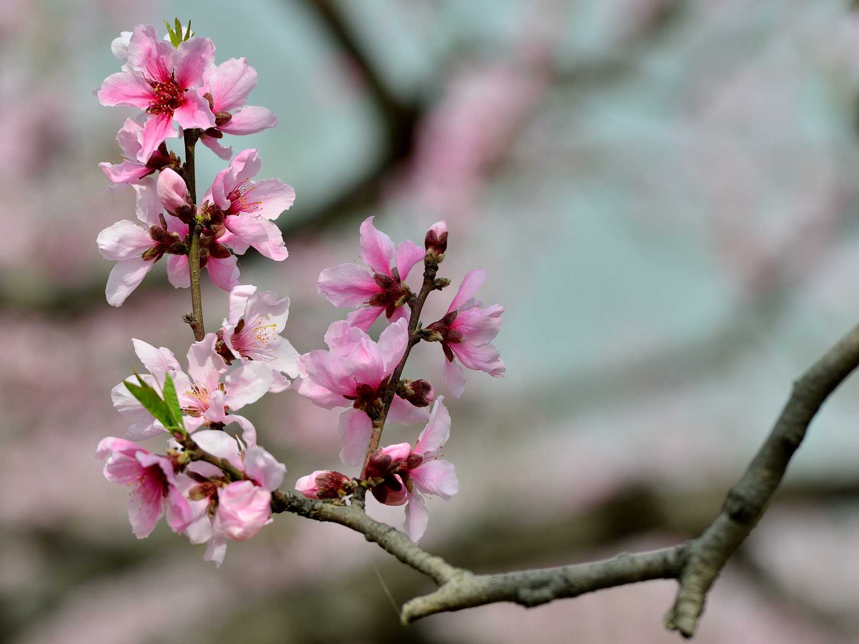 教师节出生的男宝宝起名带什么字好，用哪些字比较合适