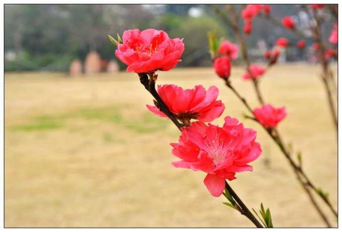 2019猪年劳动节出生女宝宝五行缺水要如何起名字