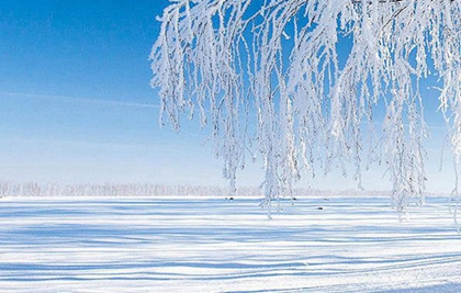 2019年大雪出生猪宝宝起名,大雪出生五行缺什么2019