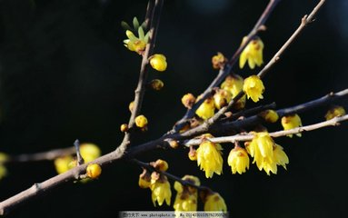 5月12号凌晨5点出生的女孩如何起名，起名注意方法