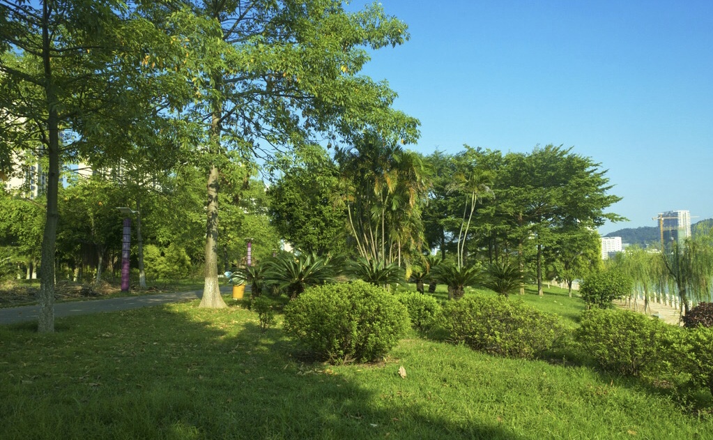 2019年4月11号出生的女宝宝五行缺土怎么起名字，宜用什么字