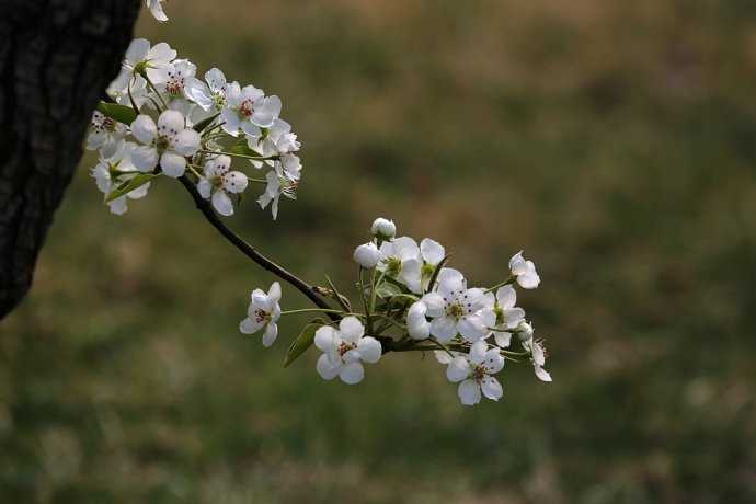 5月15号上午11点出生的女孩如何起名，起名方法