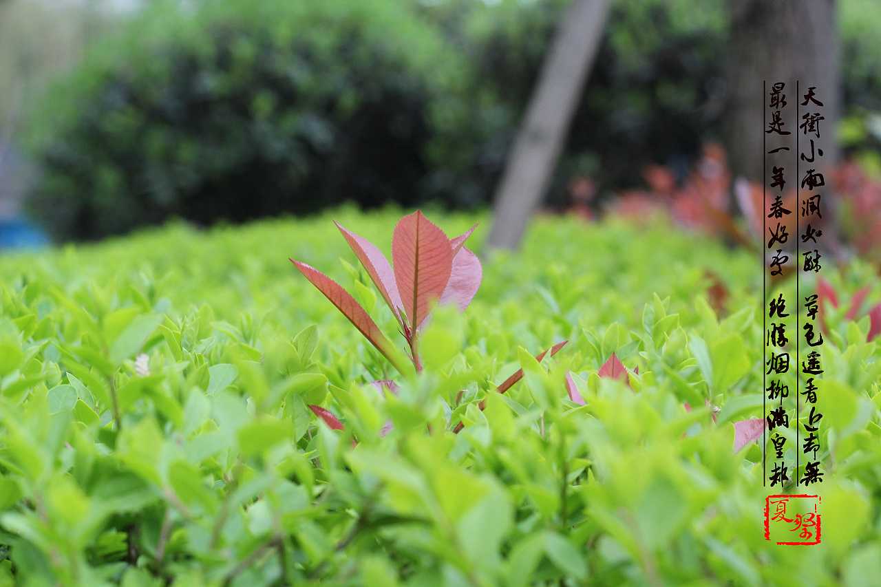 5月13号晚上10点出生的女孩如何起名，好名推荐