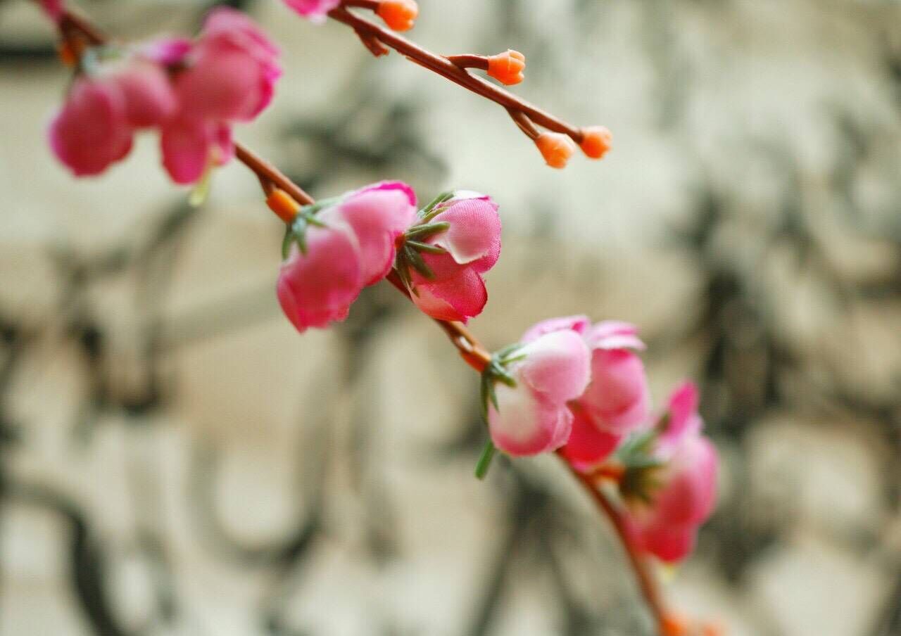 教师节出生的女宝宝起名带什么字好，用哪些字比较合适