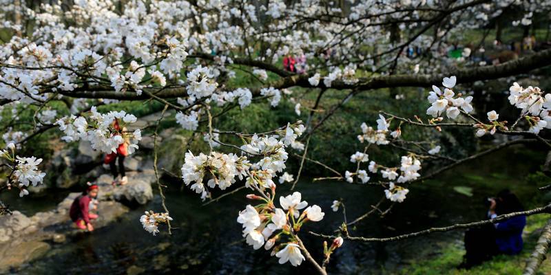  2019年7月18日子时出生的男宝宝如何起名，宜用字有哪些