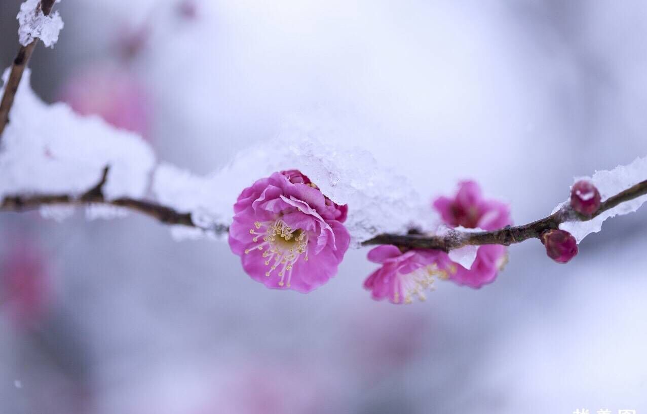 2019猪年教师节出生女宝宝五行缺水要如何起名字