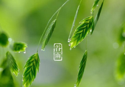 2019猪年谷雨节气4月20号出生男孩五行缺水起名推荐