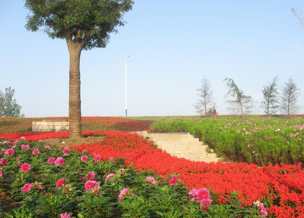 2019年9月7号出生的男宝宝五行缺土起什么名字好听，用什么字好