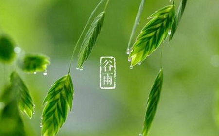 2019年阴历三月十六（4月20日）谷雨出生宝宝小名推荐！