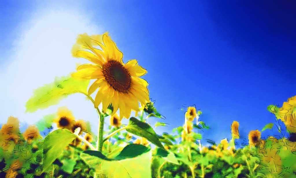 2019年中秋节生的男宝宝五行缺土要如何起名字