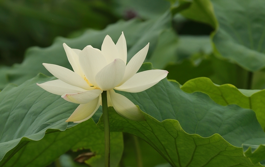 2019年5月8号出生的男宝宝五行缺土怎么起名，宜用什么字