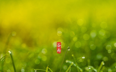 020鼠年谷雨节气出生的宝宝取名乳名“谷雨”好吗？"