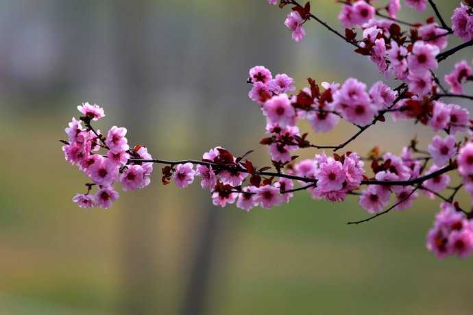 2019猪年植树节出生女宝宝缺火要如何起名字