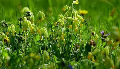 宝宝起名大全2018年4月，好名参考